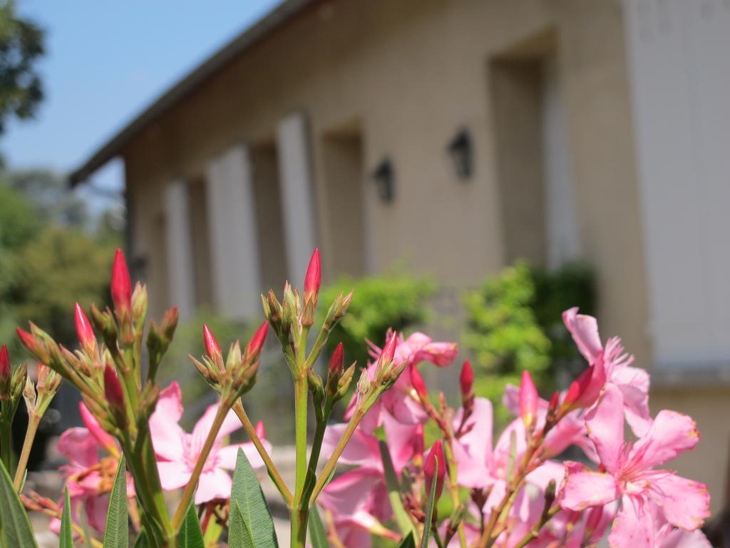 Les Communs Du Manoir Apartment Ecully Phòng bức ảnh