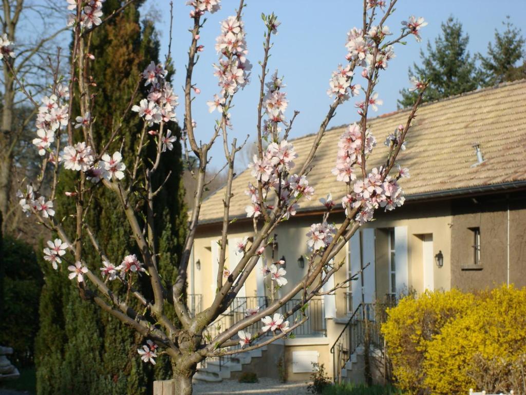 Les Communs Du Manoir Apartment Ecully Ngoại thất bức ảnh